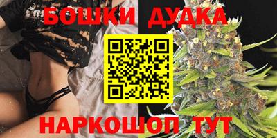 Альфа ПВП Лесосибирск
