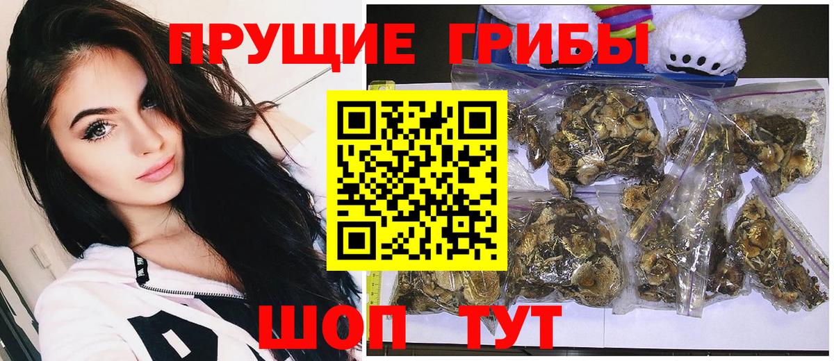 Галлюциногенные грибы мицелий  Вход с VPN  Галлюциногенные грибы прущие грибы  Вятские Поляны 
