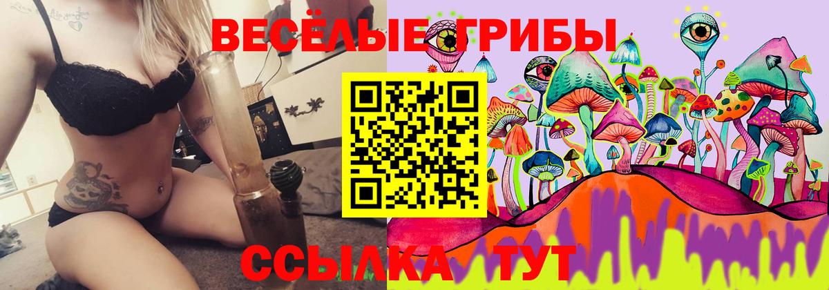 Псилоцибиновые грибы мицелий Вятские Поляны